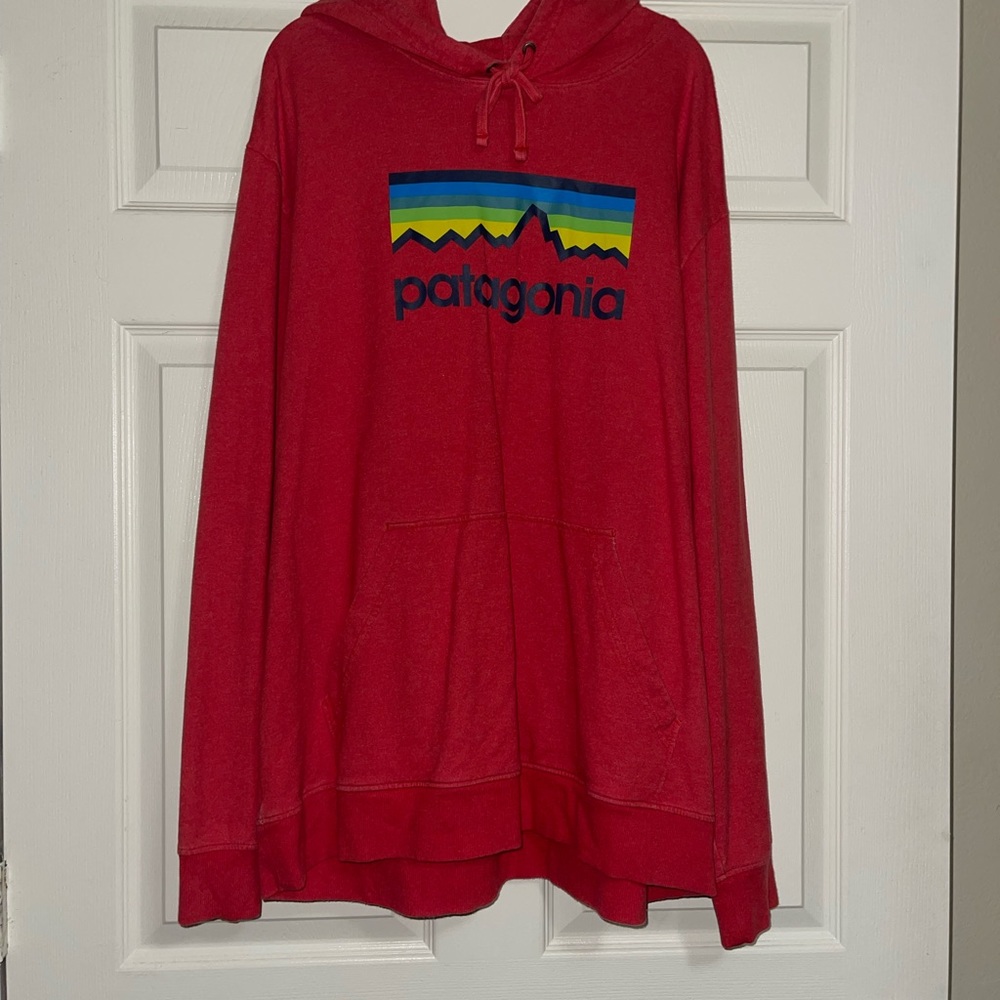 Patagonia Hoodie